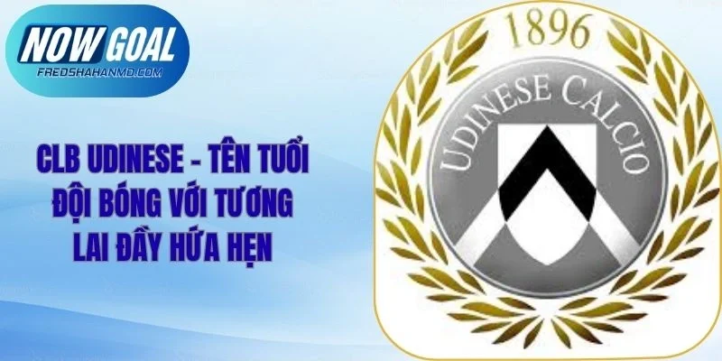 CLB Udinese – Tên Tuổi Đội Bóng Với Tương Lai Đầy Hứa Hẹn