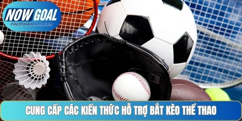 Cung cấp các kiến thức hỗ trợ bắt kèo thể thao