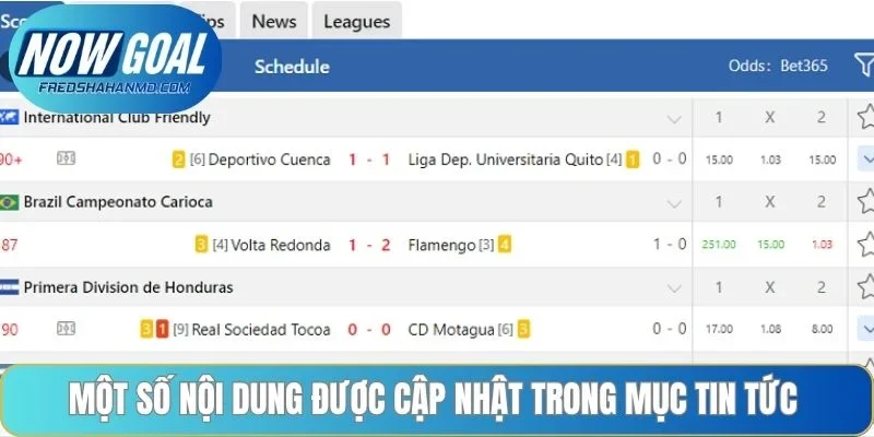 Một số nội dung được cập trong mục tin tức 